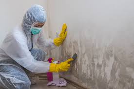 Best Comprehensive Air Testing for Mold Contaminants in Sunbury, PA